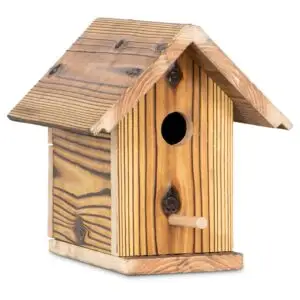 Vogelhäuschen hell